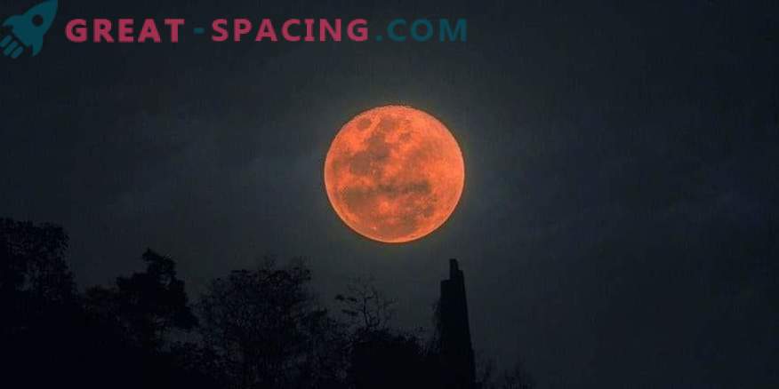 Eclipse lunar total: fotos de observadores
