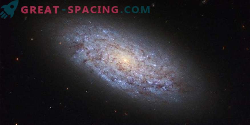 Aprovado galáxia espiral antiga