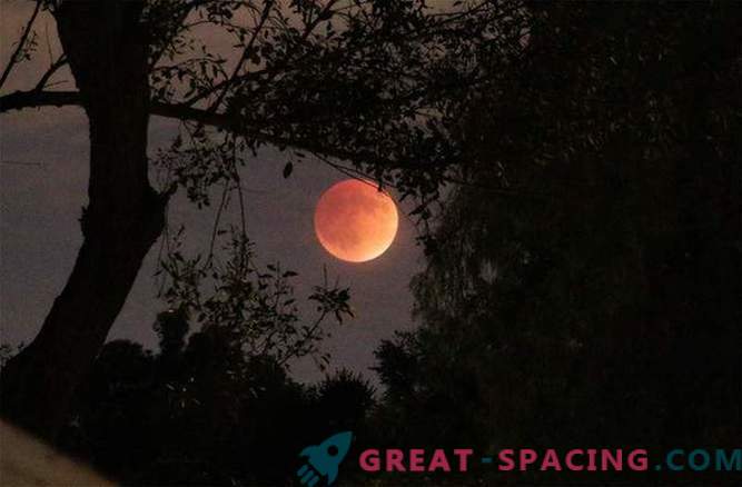 A impressionante Lua de Sangue atinge o mundo: foto