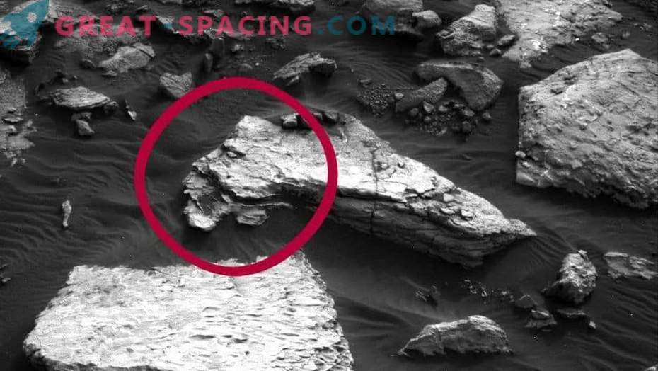 7 objetos extraños en Marte!