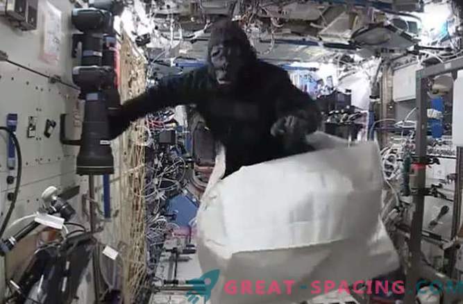 The astronaut joked with the help of a monkey costume on the space station