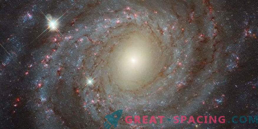 Beleza solitária NGC 3344