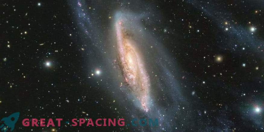 Pérola Galáctica: detalhes impressionantes NGC 3981