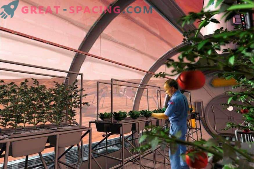 A NASA enviará plantas para Marte?