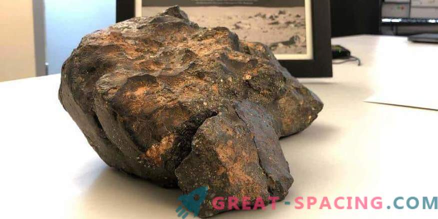 O meteorito lunar foi vendido por US $ 600.000