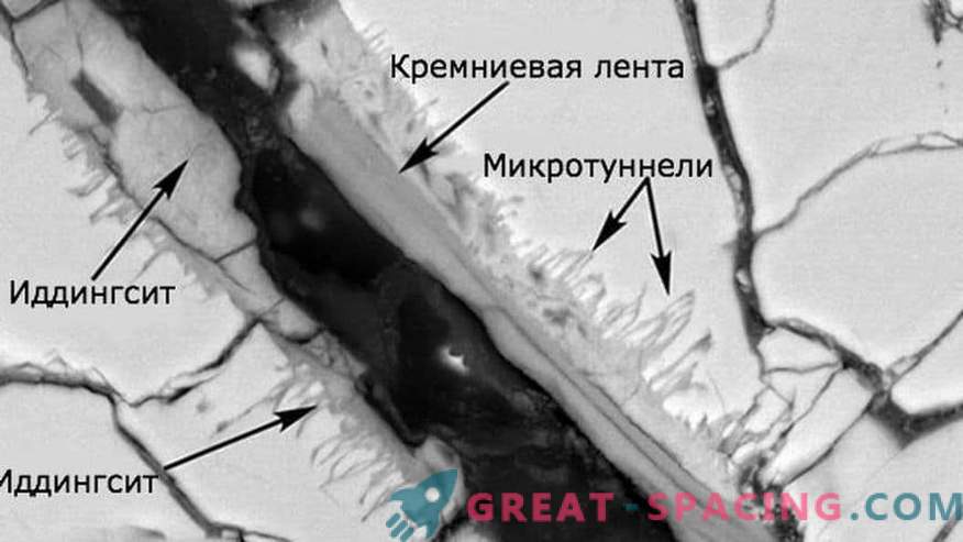 A vida é detectada em amostras de um meteorito marciano