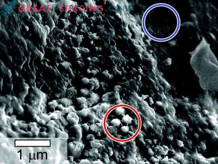 A vida é detectada em amostras de um meteorito marciano